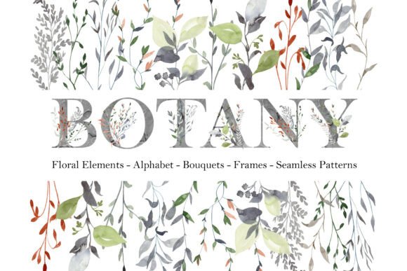 Download Watercolor Botany Collection. - Botany Collection
