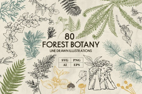 Download Forest Botany Line Art Svg - Botany Collection