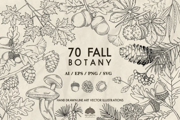 Download 70 Fall Botany Svg Png Eps - Botany Collection