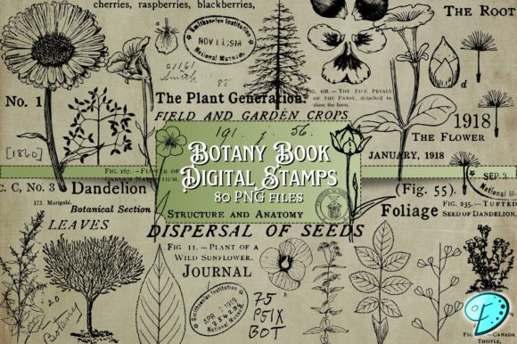 Download Botany Book Digi Stamps Transparent PNGs - Botany Collection